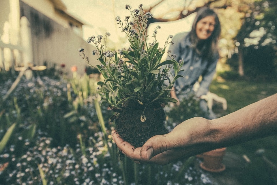 Comment aménager un jardin sur-mesure dans le Pas-de-Calais ?